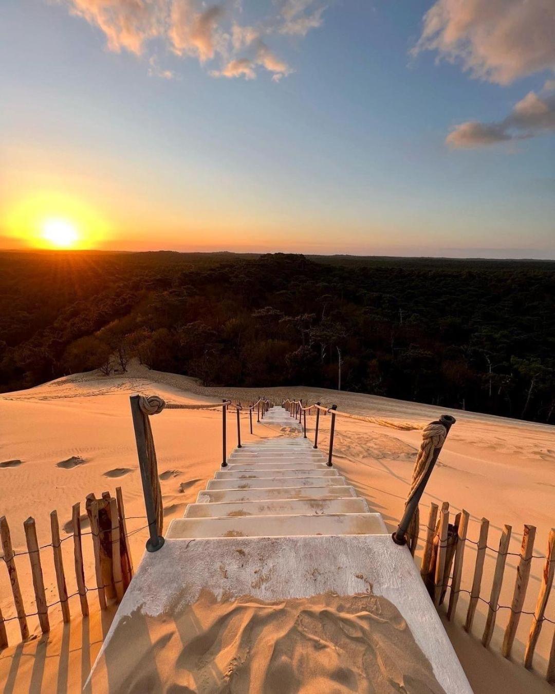 Cocon Entre Presqu'ile Du Cap Ferret Et Plages Oceanes - Terrasse - 1 Velo Gratuit Ferienhaus *