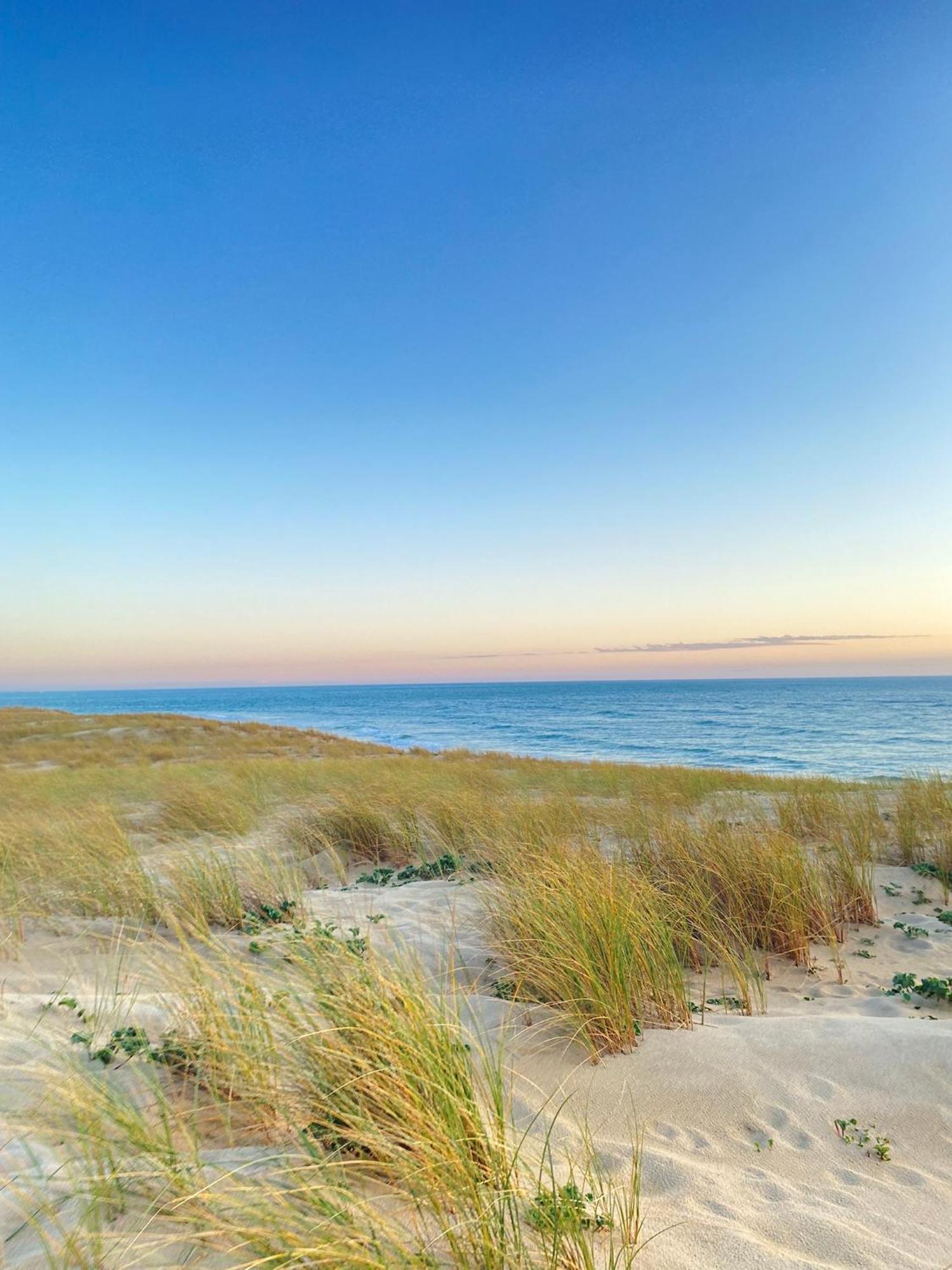 Cocon Entre Presqu'ile Du Cap Ferret Et Plages Oceanes - Terrasse - 1 Velo Gratuit Ares